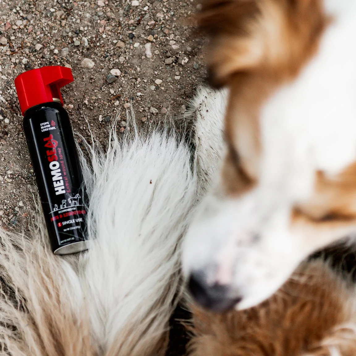 HemoSEAL™ Pet Wound Spray – Rapid Bleeding Control for Dogs, Cats & Livestock - Image 4