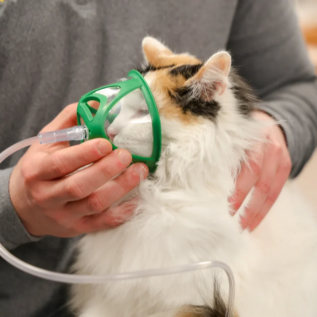 Cat Rescue Oxygen Kit – Rescue Oxygen Therapy and Transport for Pets - Image 5