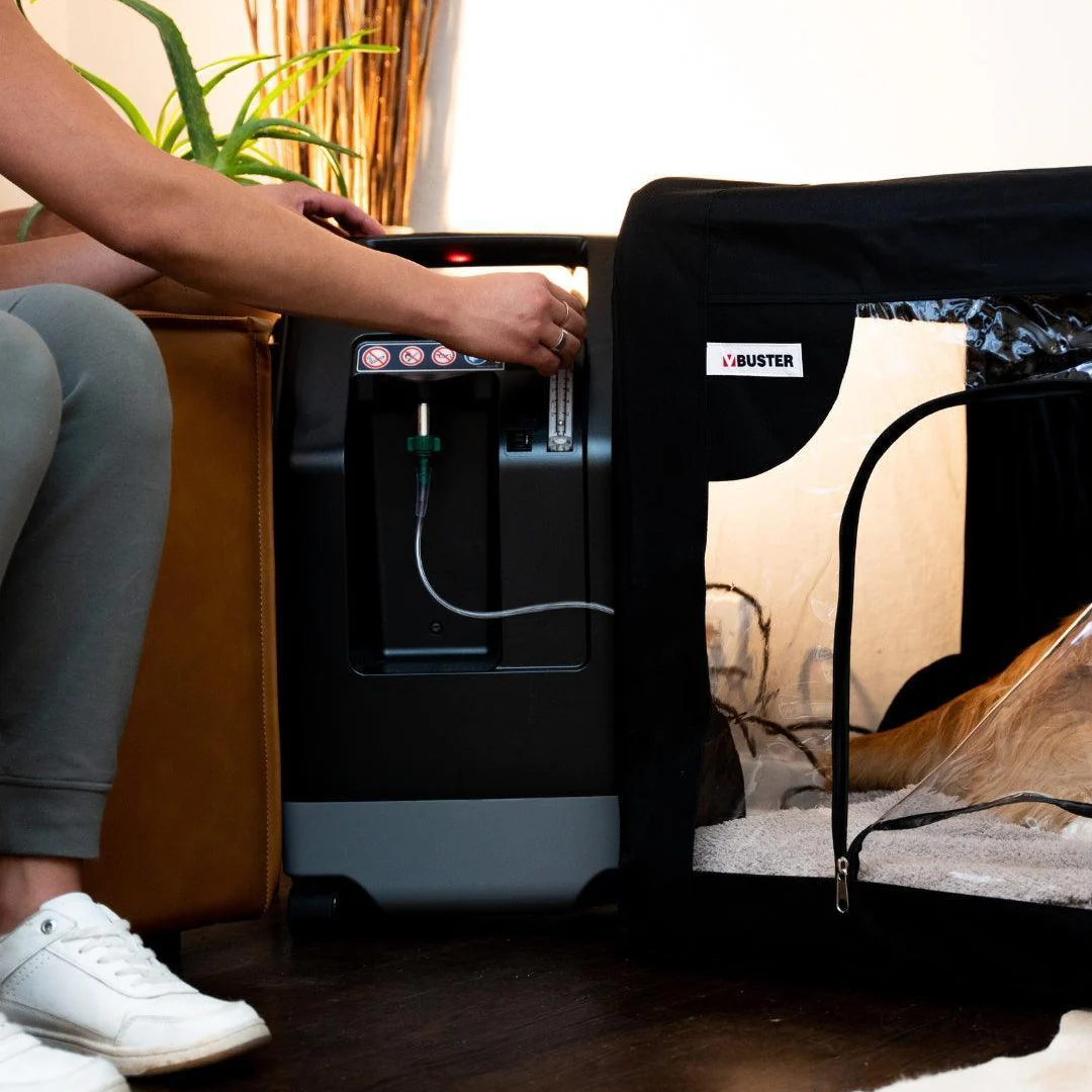 Pet Oxygen Concentrator - Drive 10L - Medical-Grade – Continuous Oxygen Therapy for Dogs Cats and Pets - Image 3