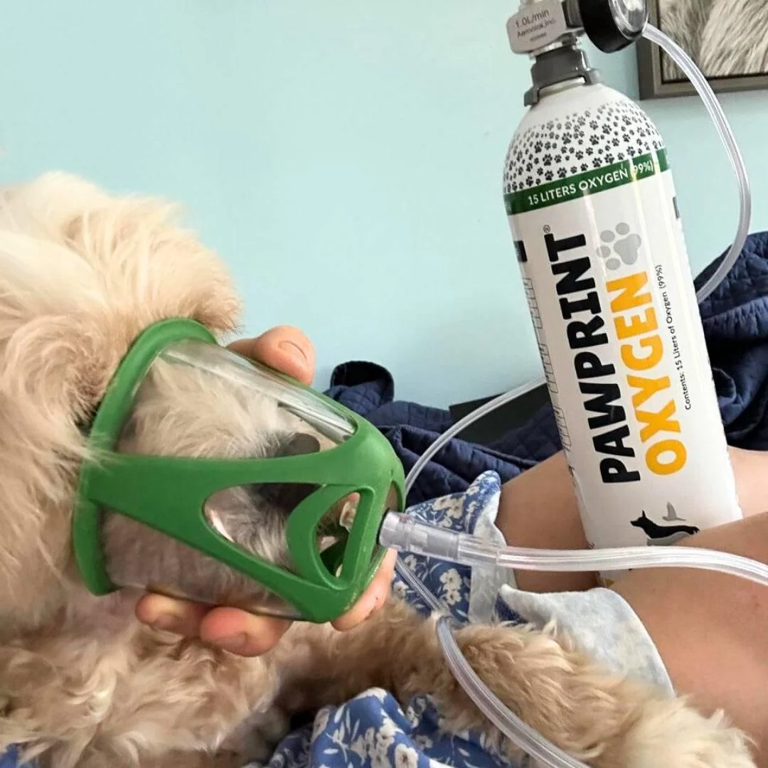 PureVent Pet Oxygen Mask for Dogs, Cats, Animals – Veterinary-Grade Oxygen Therapy - Image 7